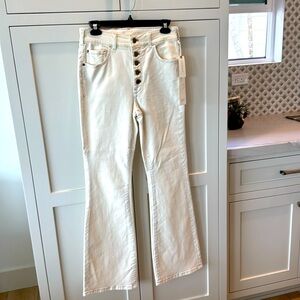 Anthropologie Pilcro high rise  icon pant